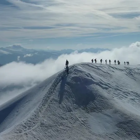 Апартаменты Lejo